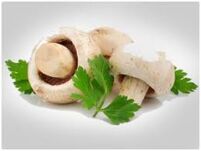 B5 vitamin pikeun uteuk