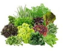 B9 vitamin B9 pikeun uteuk